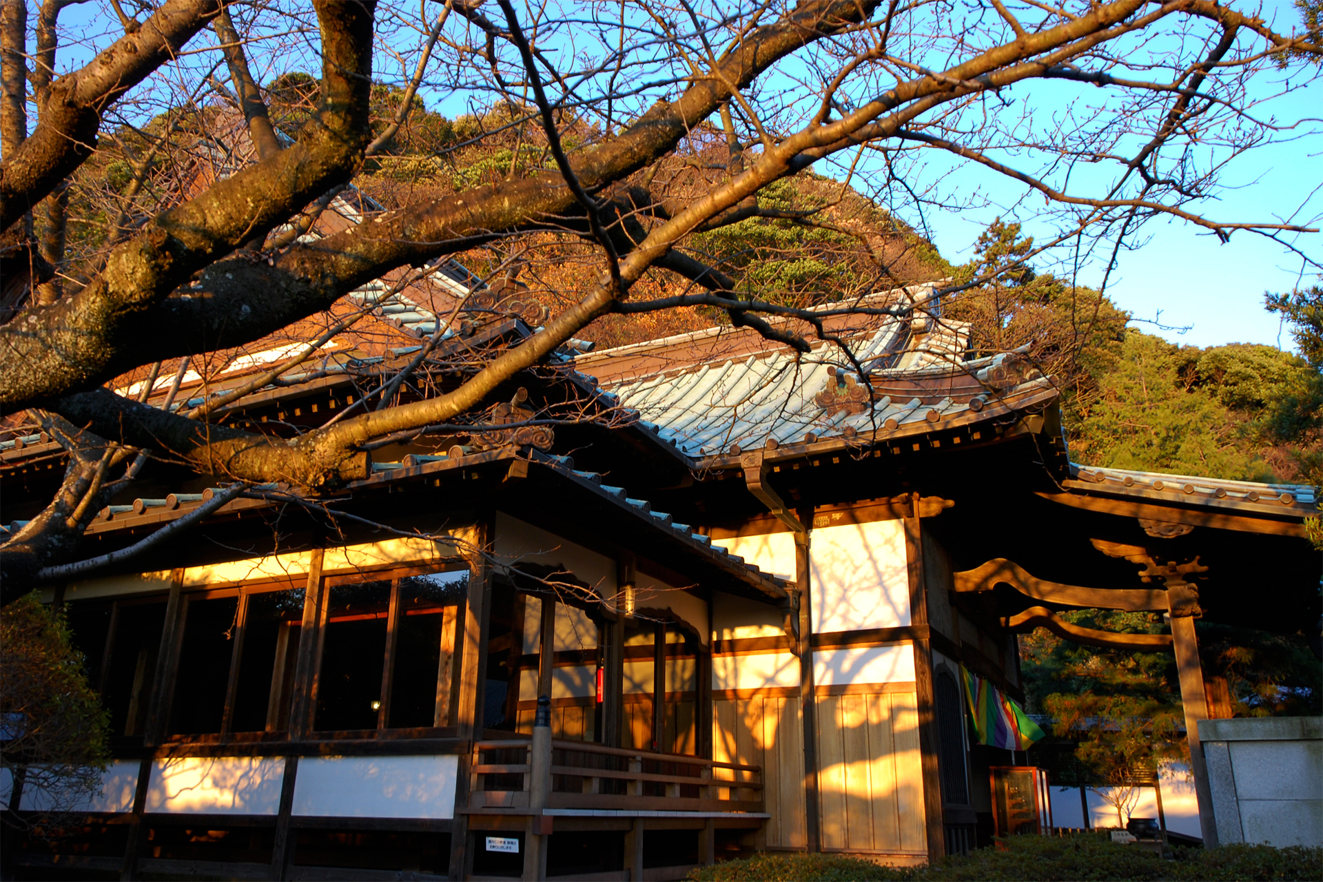 安養院 田代寺