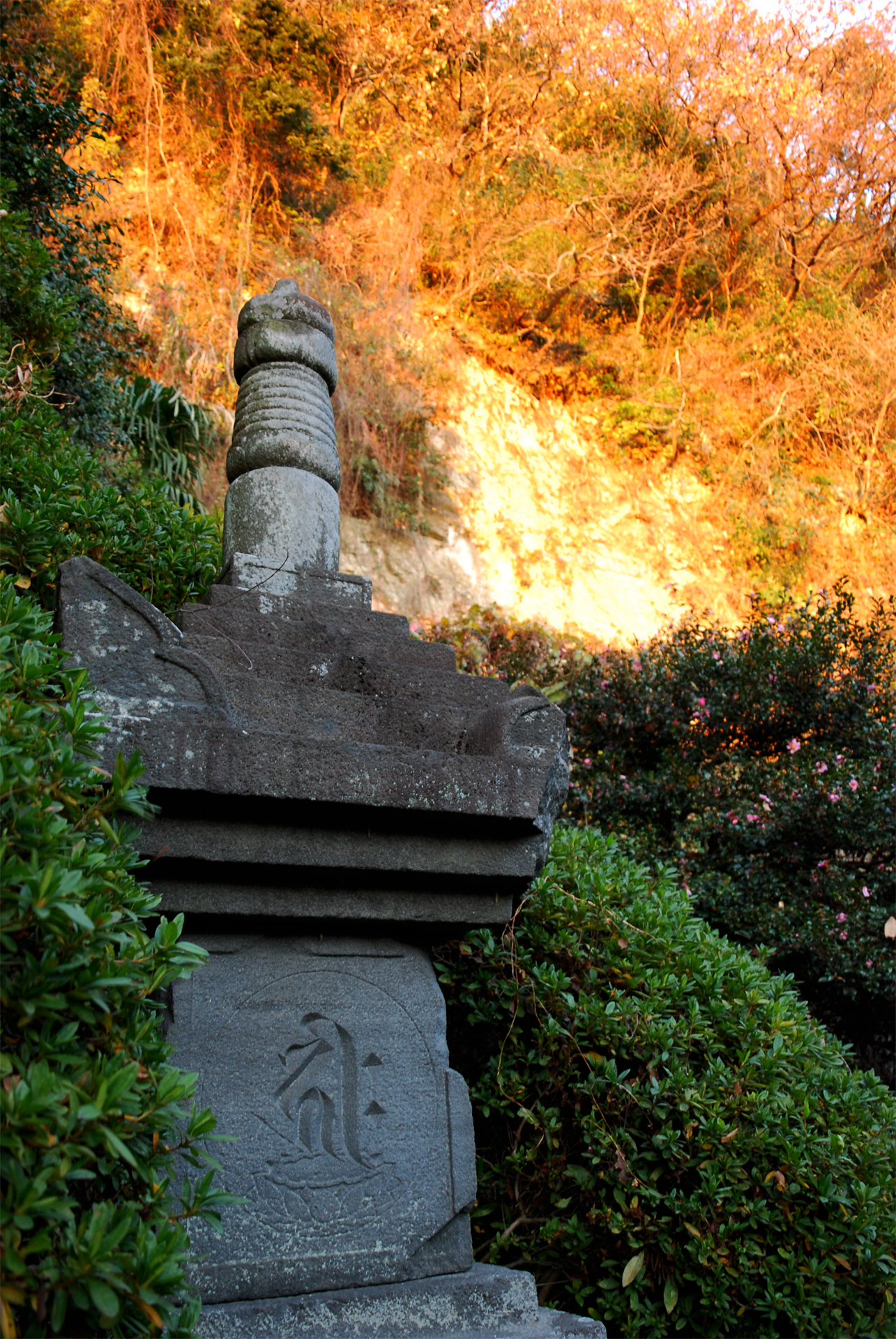 安養院 田代寺