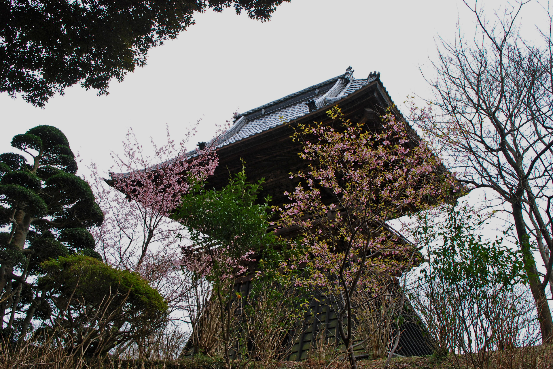 楽法寺