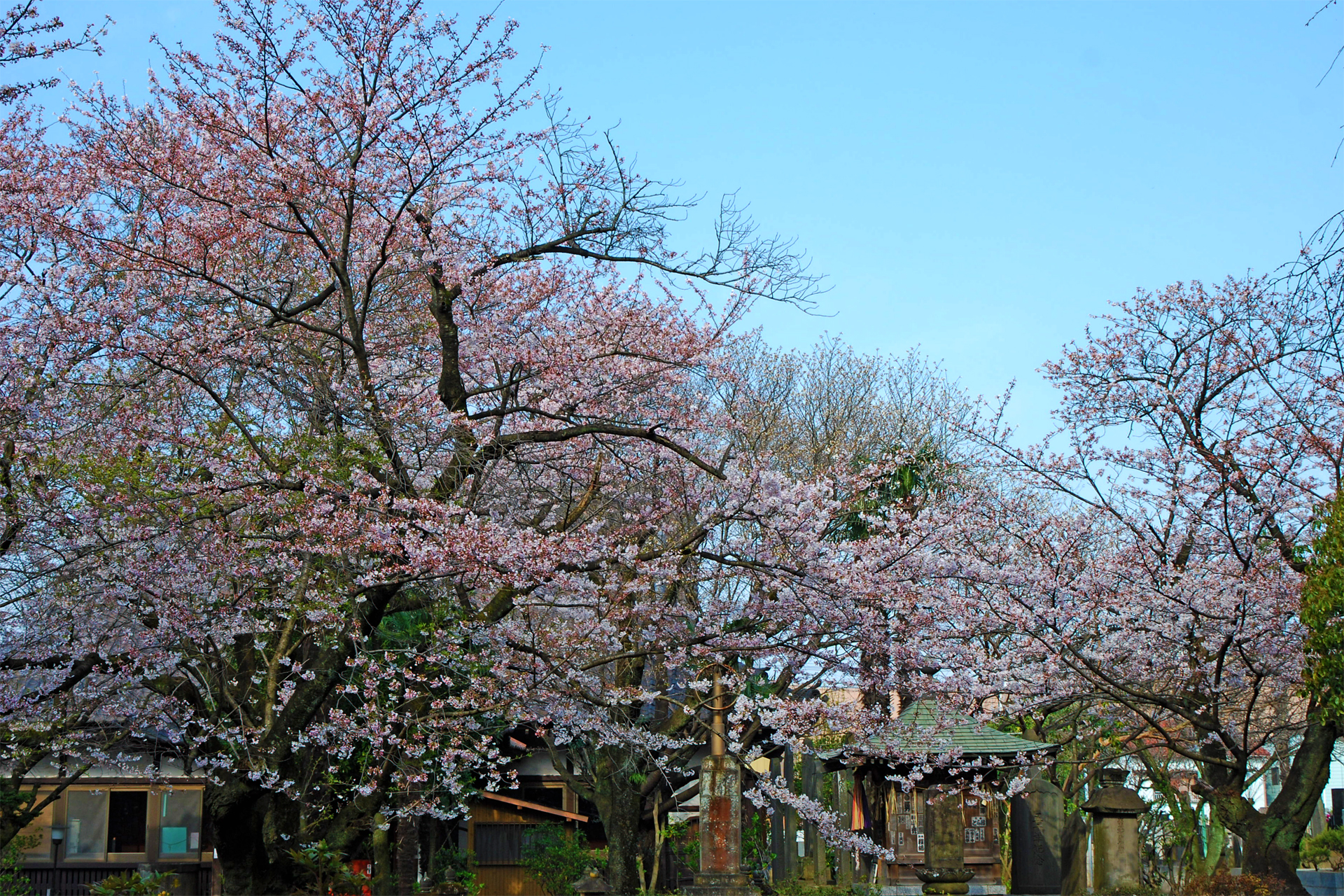 千葉寺