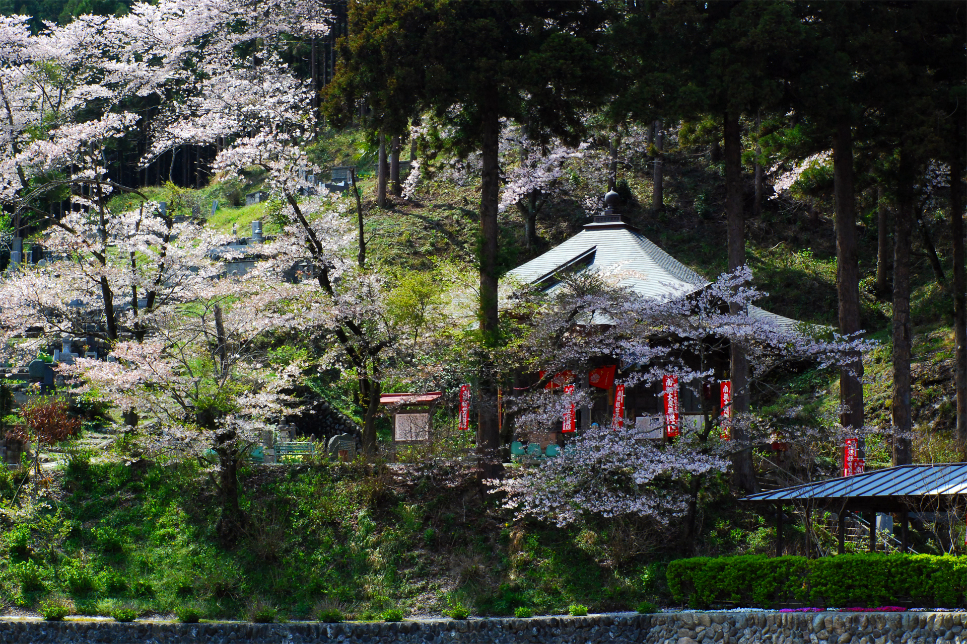 常泉寺