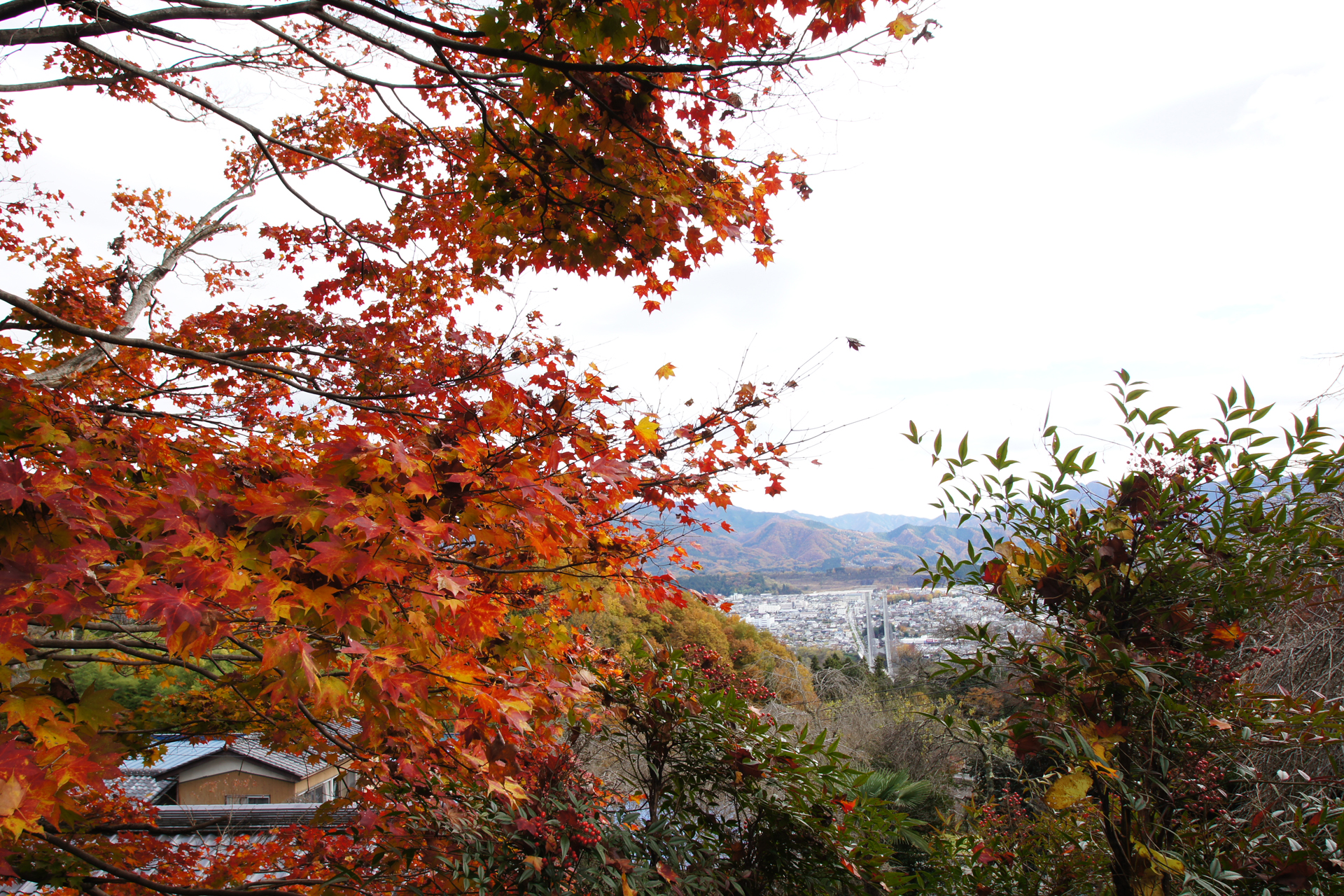 音楽寺