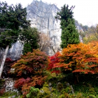 橋立堂