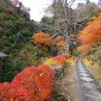 法性寺