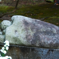 安養院 田代寺