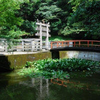 大谷寺