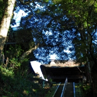 西明寺