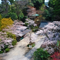 笠森寺