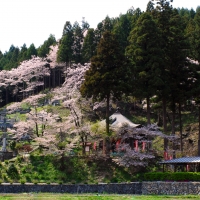 常泉寺