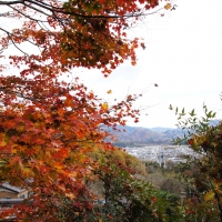 音楽寺