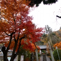 大渕寺