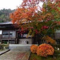 大渕寺